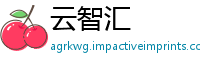 云智汇